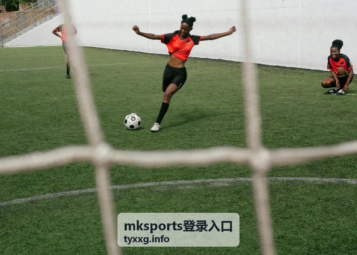 mksports登录入口在电脑端与手机端的登录界面展示