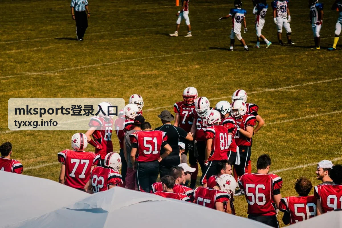 mksports登录入口在桌面浏览器中的地址确认与页面加载示意