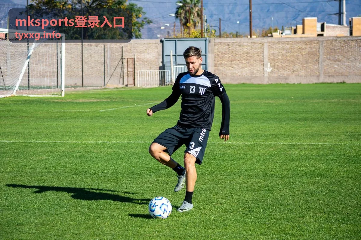 在 mksports登录入口 使用密码管理工具保存账号